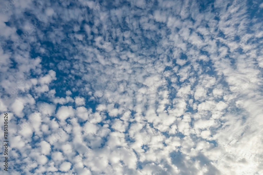 Clouds in the sky in summer
