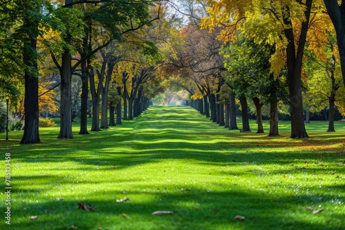 Beautiful green nature background professional photography photo