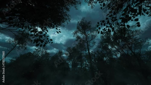 The power and might of nature. The camera moves through the dark forest. Flashes of lightning.