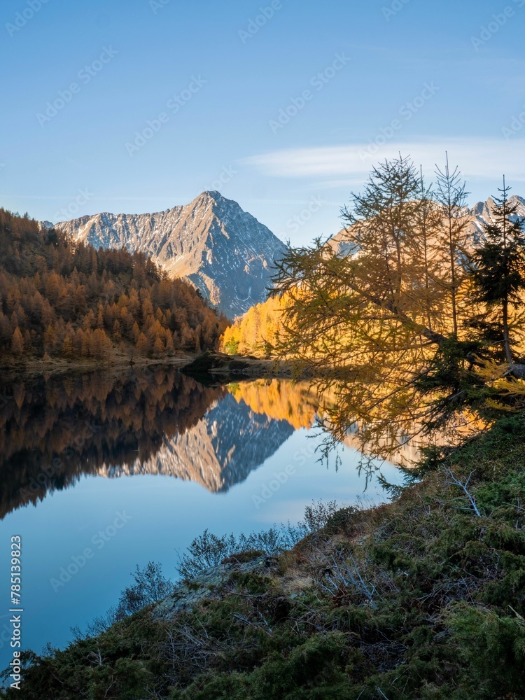 Naklejka premium Vertical shot of lake Landschitzsee reflecting trees and mountains in Salzburg, Austria
