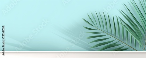 Cyan background with palm leaf shadow and white wooden table for product display, summer concept. Vector illustration, isolated on pastel background
