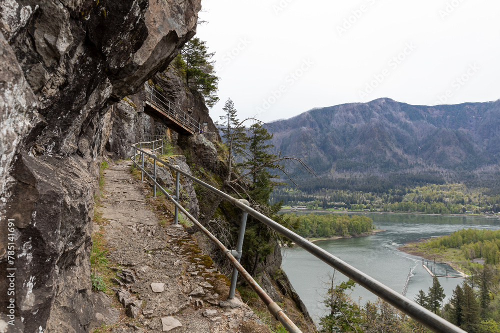 Fototapeta premium Columbia River Gorge and its surrounding beautiful green nature as seen from a hiking trail on Beacon Rock, Washington