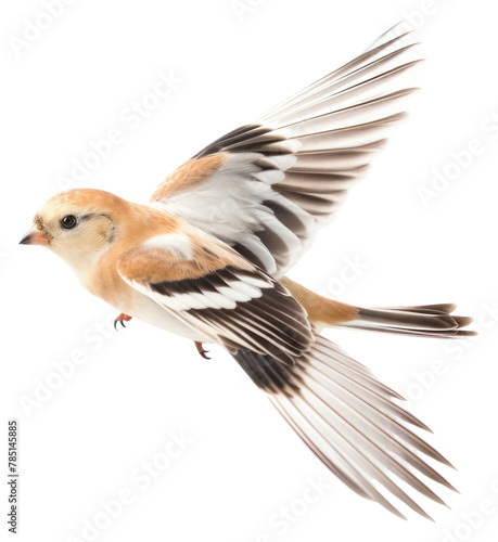 PNG Snow bunting sparrow animal flying. AI generated Image by rawpixel.