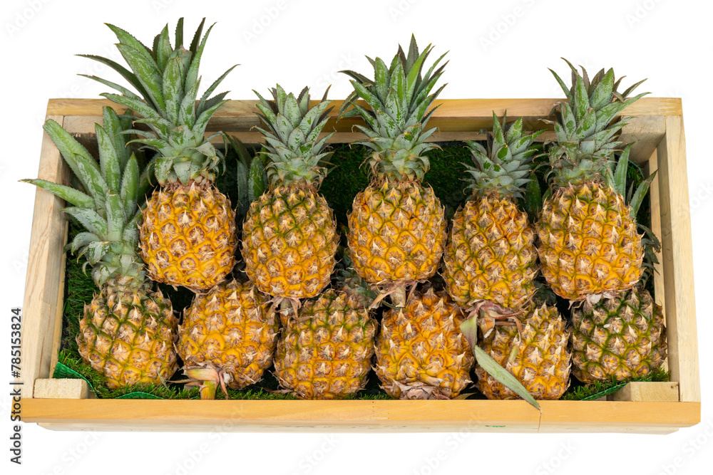 Top view of pineapples fruits in a wood crate isolated on white background. Top view of pineapples fruits in a wood crate isolated on white background.