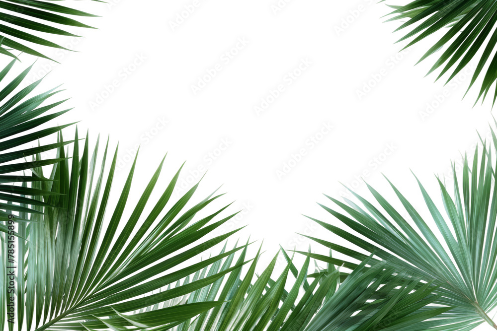 Ethereal Elegance: Green Palm Leaves on a White Canvas. On White or PNG Transparent Background. Ethereal Elegance: Green Palm Leaves on a White Canvas. On White or PNG Transparent Background.