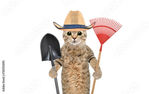 Portrait of a cat in a straw hat with a garden tool in his hands isolated on a white background
