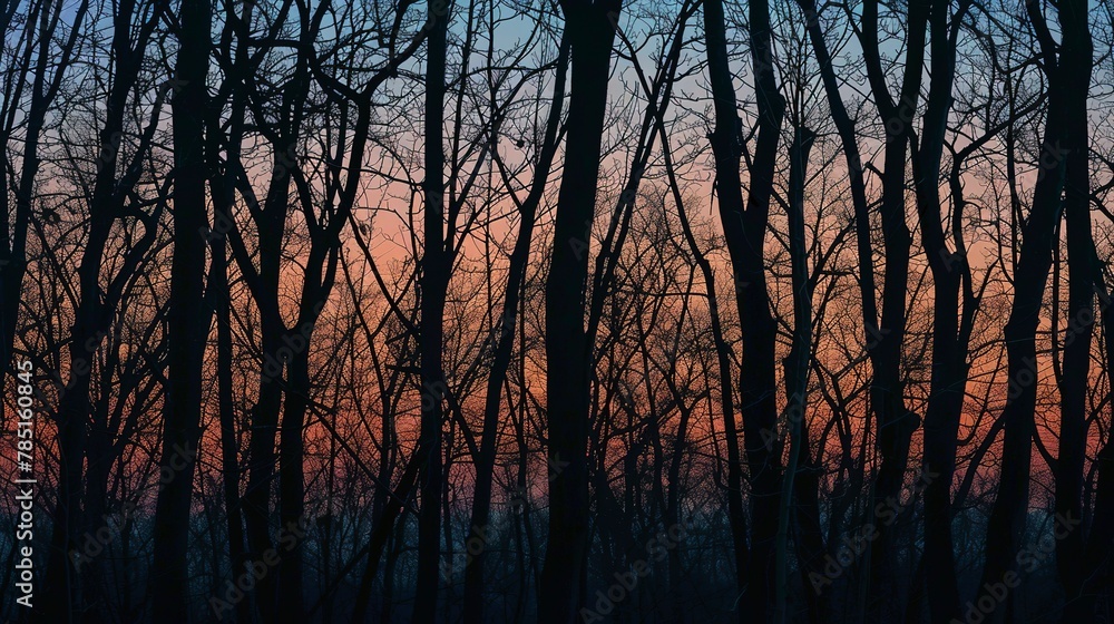 Silhouetted trees at dusk, close-up, low angle, forest edge, twilight's last glow Silhouetted trees at dusk, close-up, low angle, forest edge, twilight's last glow