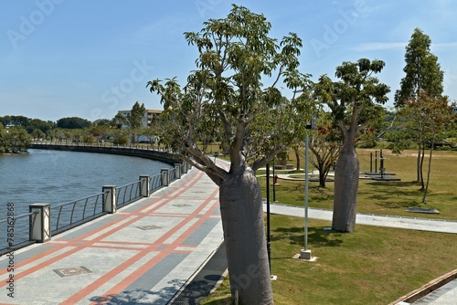 View on Taman Mahkota Jubli Emas public park and Sungai Kedayan river in Bandar Seri Begawan, the capital of Brunei Darussalam. Borneo island. Asia. photo