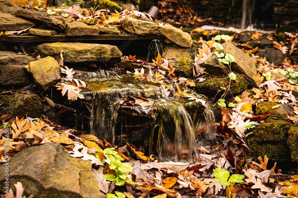 Closeup shot of small cascades and colorful dry leaves on stones in an autumn park Closeup shot of small cascades and colorful dry leaves on stones in an autumn park