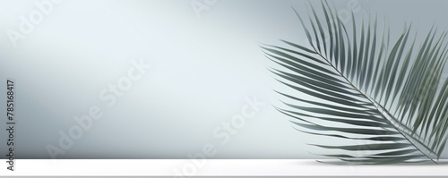 Gray background with palm leaf shadow and white wooden table for product display, summer concept. Vector illustration, isolated on pastel background