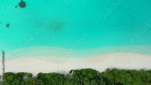 Aerial view of trees on a sandy beach by the ocean