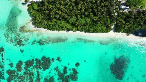 Aerial shot above green tropical trees by tranquil water island of Dhigurah, Maldives photo