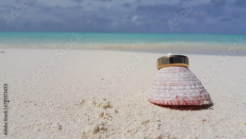 Closeup of a shell with a ring at a beach on a sunny day