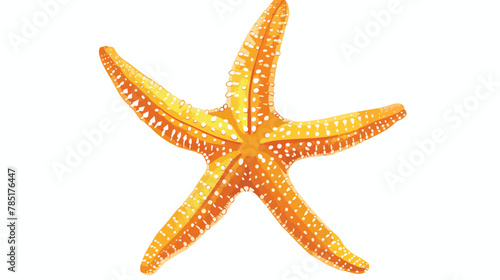 Elegant Starfish illustration sea creature symbol