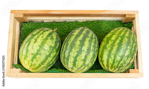 Top view of watermelon fruits in a wood crate isolated on white background. Fresh fruit market.