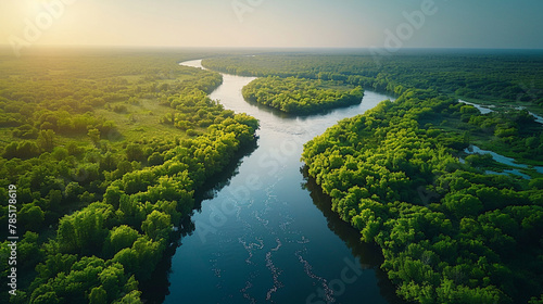 Lush green trees line a winding blue river under a bright summer sky
