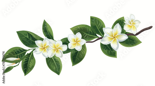 Frangipani branches adorned by a flower Flat vector illustration