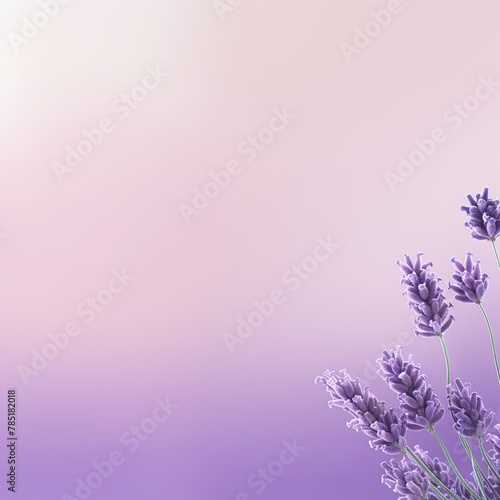 Lavender gradient background with blur effect, light lavender and dark lavender color, flat design, minimalist style