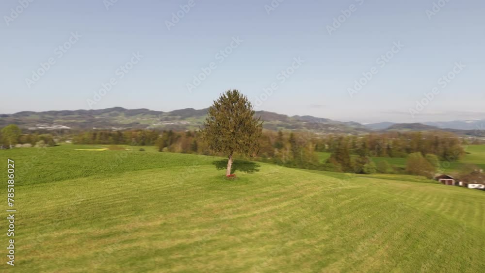 Drone circles a tree on a hill on a sunny day. It is spring and in the background you can see mountains, forest and green fields. Drone circles a tree on a hill on a sunny day. It is spring and in the background you can see mountains, forest and green fields.