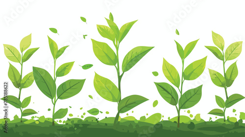 Green tea growing in a natural setting Flat vector