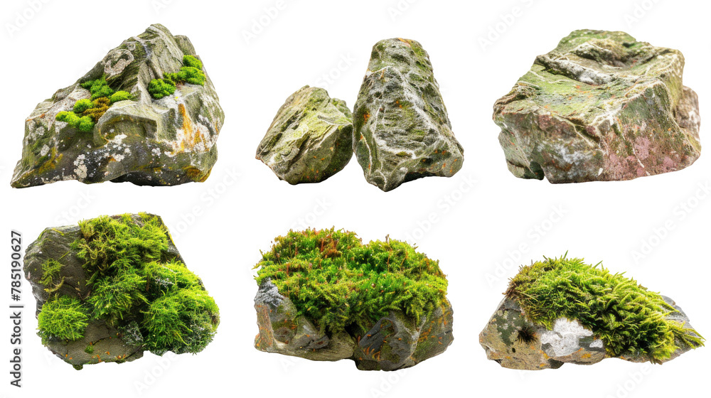 Set of moss-covered rocks and stones, transparent or isolated on white background Set of moss-covered rocks and stones, transparent or isolated on white background