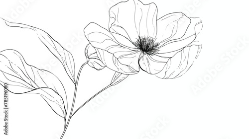 One line drawing of beautiful flower Hand drawn minim photo