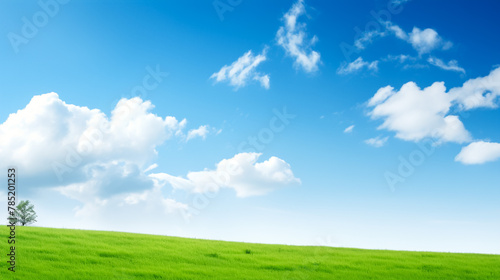 Green grass lawn with clouds on blue sky 