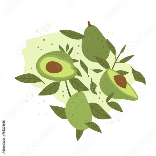 Avocado with leaves composition isolated on white background. Whole and halved avocado and green branches. Vector hand drawn illustration