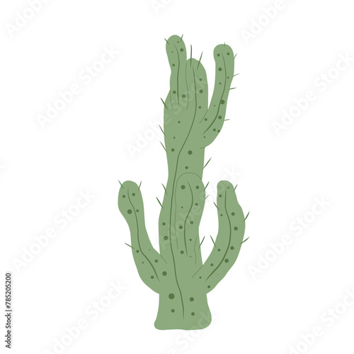 Cactus isolation on white background. Mexican cacti. Exotic plant. Vector hand drawn illustration