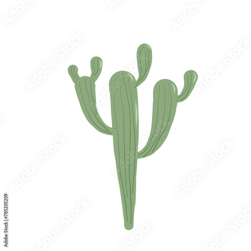Nopal Mexican cacti. Cactus isolation on white background. Exotic plant Vector flat illustration