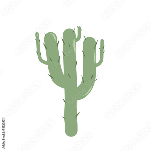 Cactus isolation on white background. Mexican exotic plant Vector flat illustration