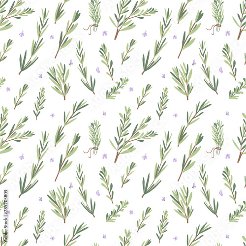 Fototapeta Naklejka Na Ścianę i Meble -  Rosemary herb seamless pattern. Rosemary plant green leaves repeat background. Botanic endless cover. Vector hand drawn illustration.