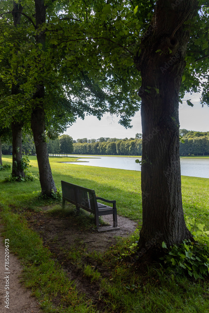 bench in the park bench in the park
