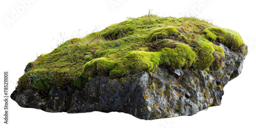 PNG Iceland plant moss rock.