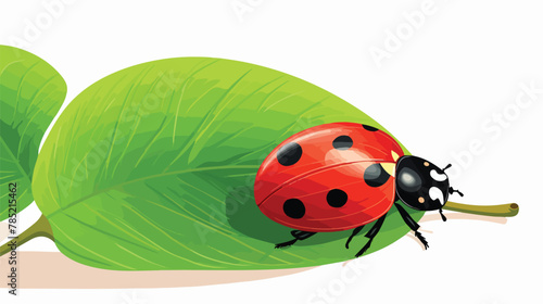 A close-up of a ladybug crawling on a leaf flat vector © Amber