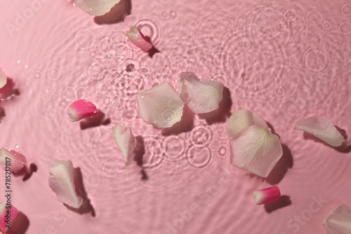 Beautiful rose petals in water on pink background, top view © New Africa