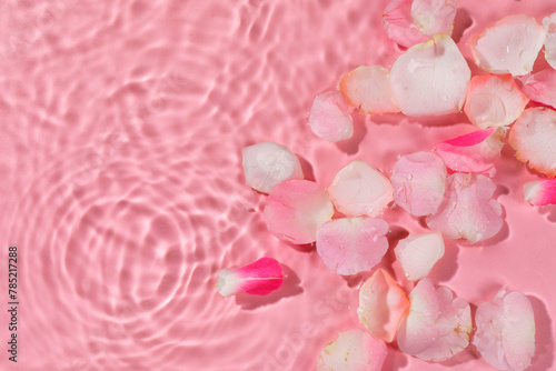 Beautiful rose petals in water on pink background, top view. Space for text © New Africa