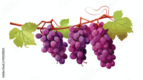 A cluster of ripe grapes hanging from a vine flat vector