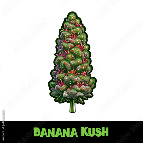 Vector Illustrated Banana Kush Cannabis Bud Strain Cartoon	
