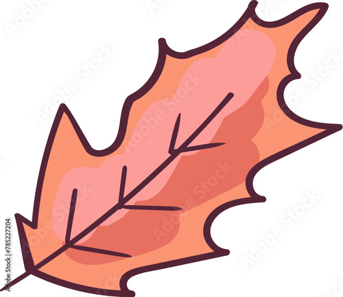 Autumn pink color tree leaf, foliage stroked illustration. Tree leaf, herbarium. Simple cartoon multicolored vector hand drawn isolated on white background (ID: 785227204)