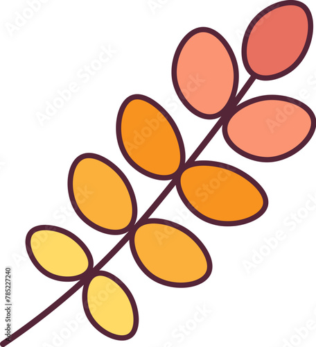 Autumn Acacia tree leaf foliage stroked illustration. Tree leaf, herbarium. Simple cartoon multicolored vector hand drawn isolated on white background (ID: 785227240)