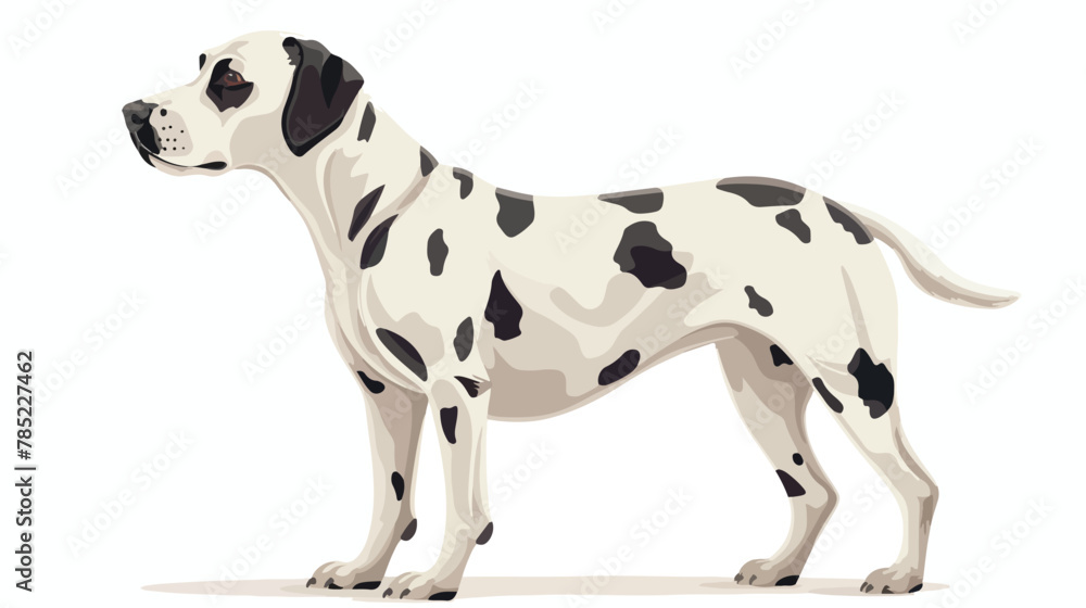 A white black-patterned dog stood one. flat vector isolated