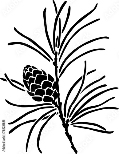 Silhouette of a pine branch with a pine cone. vector image for plotter cutting or stencil for printing for Christmas