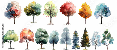 A collection of hand-drawn watercolor trees for use in artwork and design projects, featuring various types of trees typically found in a forest setting. photo