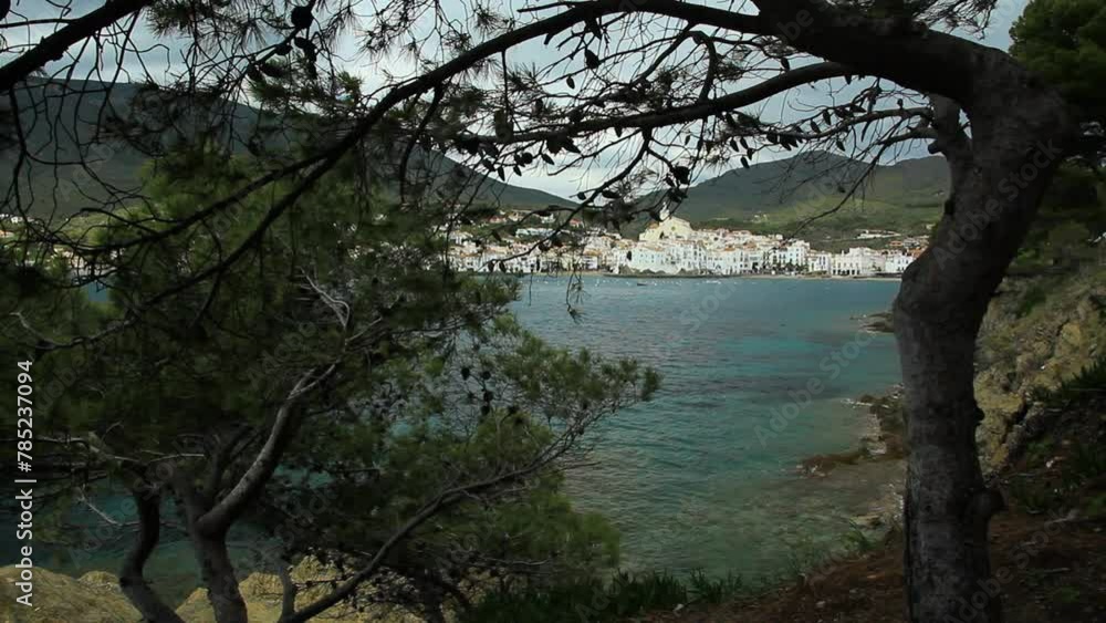 General view of the bay and the village of Cadaqués with Mediterranean pine forest in the foreground. Alt Empordar, Catalonia, Spain. General view of the bay and the village of Cadaqués with Mediterranean pine forest in the foreground. Alt Empordar, Catalonia, Spain.