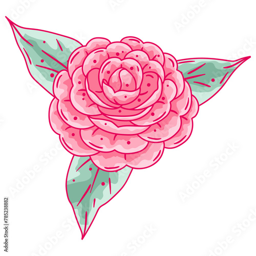 Illustration of camellia flower. Beautiful decorative plant.