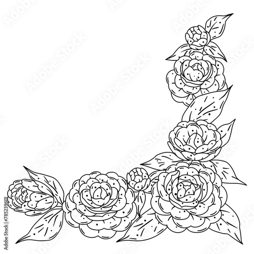 Background with camellia. Beautiful decorative plants.