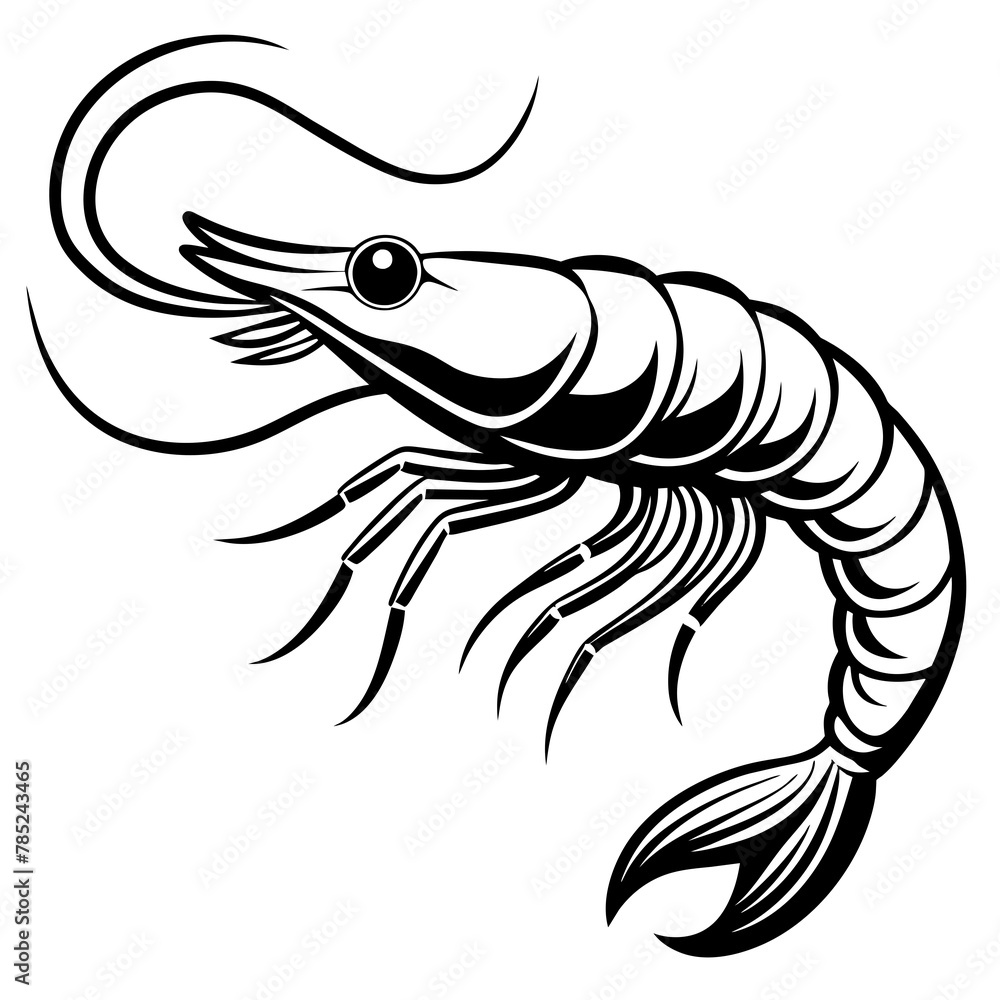 shrimp silhouette vector illustration
shrimp silhouette vector illustration