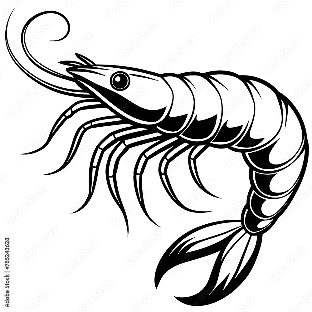 shrimp vector illustration.
shrimp vector illustration.