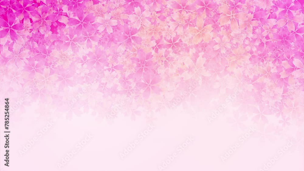 Petals of pink flowers spa background. Flying sakura cherry flower petals elements for romantic loop animation. Petals of pink flowers spa background. Flying sakura cherry flower petals elements for romantic loop animation.